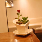 テヘッ を英語で言うと 英会話研究所