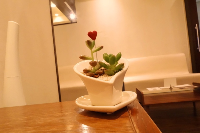 ぶりっこを英語で言うと 英会話研究所