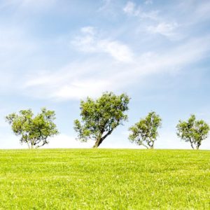 電光石火を英語で言うと 英会話研究所