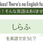 桜は儚いからこそ美しい を英語で言うと 英会話研究所 桜は儚いからこそ美しい を英語で言うと 英会話研究所