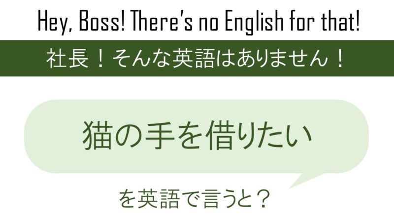 猫の手を借りたいを英語で言うと 英会話研究所