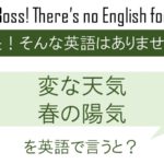 声が枯れるを英語で言うと 英会話研究所