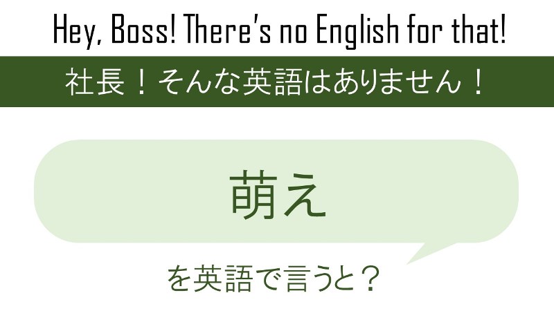 番外編 萌えを英語で言うと 英会話研究所 番外編 萌えを英語で言うと 英会話研究所