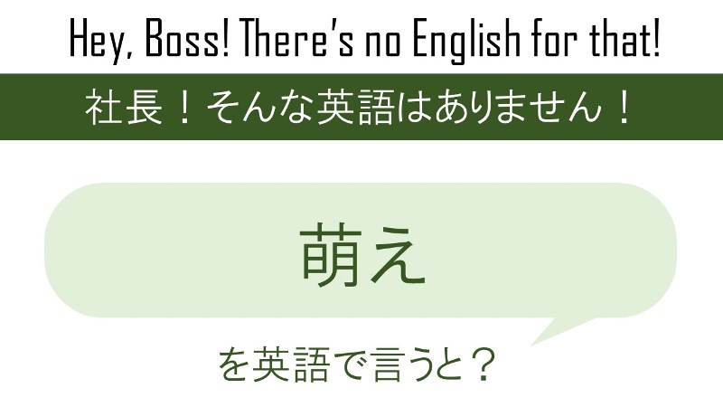 【番外編】萌えを英語で言うと