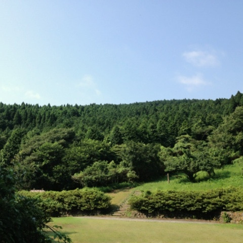 photo:02