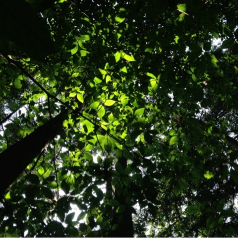 photo:09