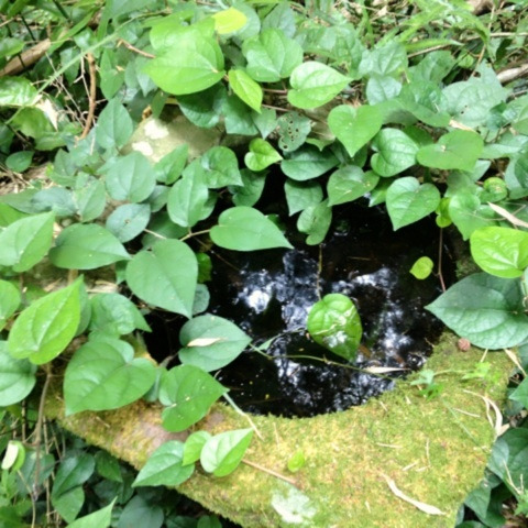 photo:07