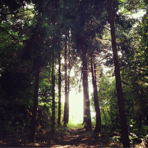 photo:08