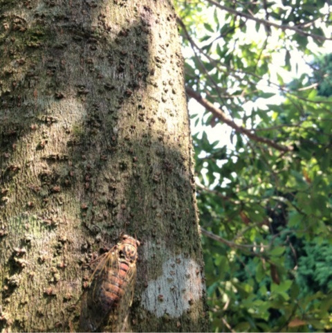 photo:06