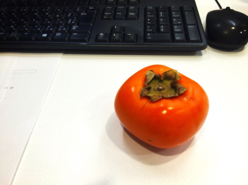 様子を見るを英語で言うと 英会話研究所